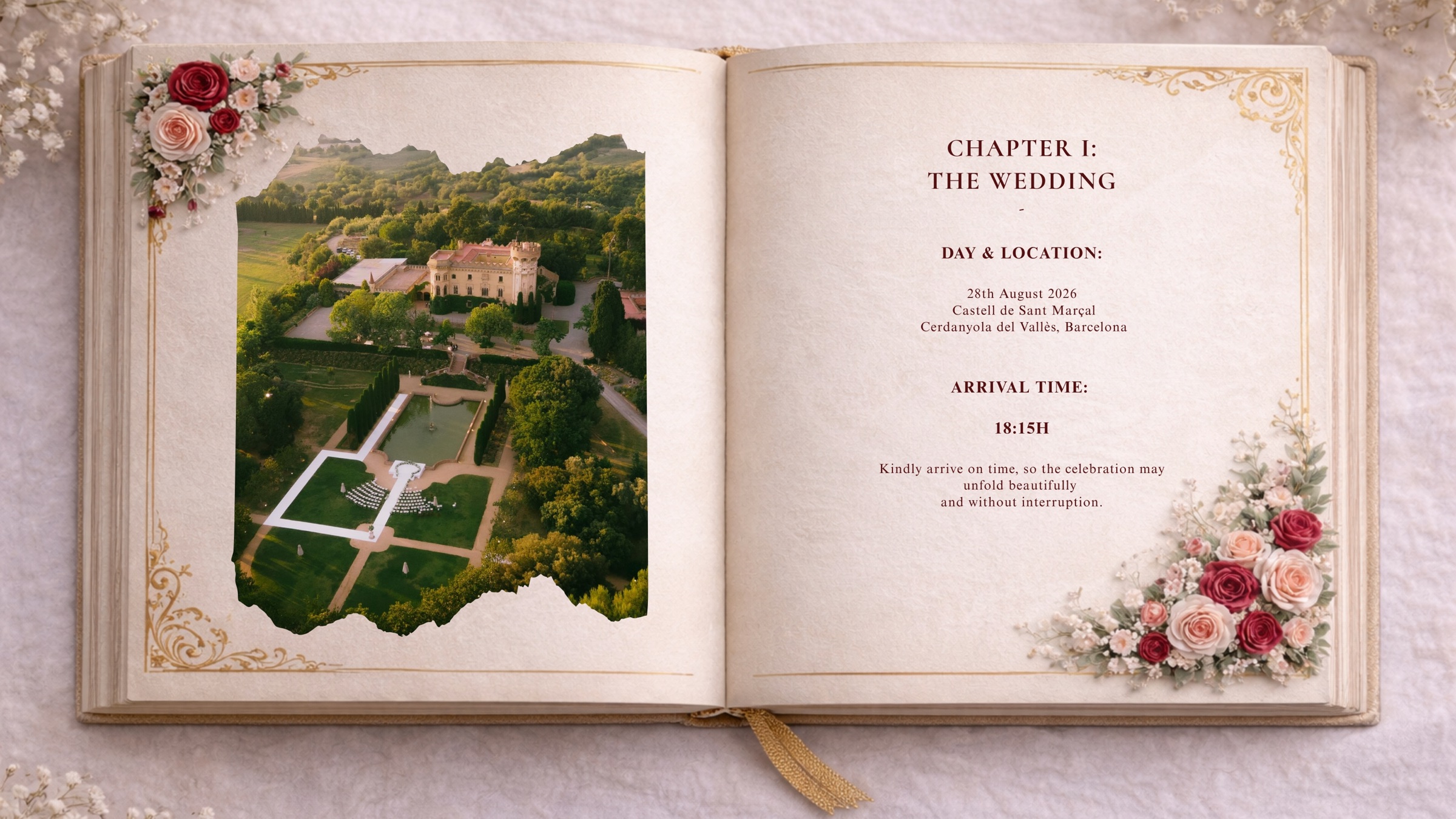 Chapter I — The Wedding